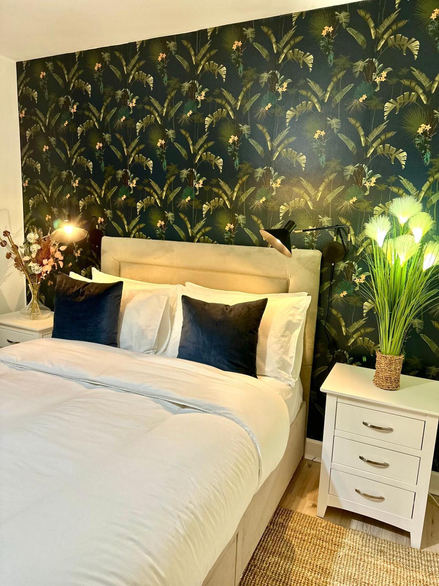 Blush Jungle - Homestay Dublin Exterior photo